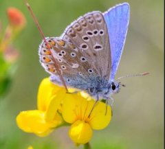 Gartenwettbewerb Lkr München