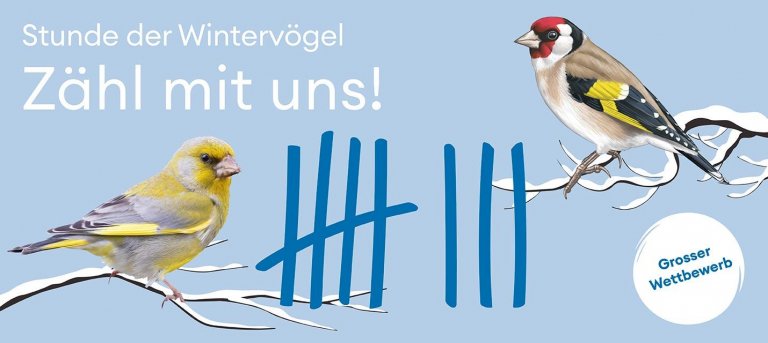 Stunde der Wintervögel 2026