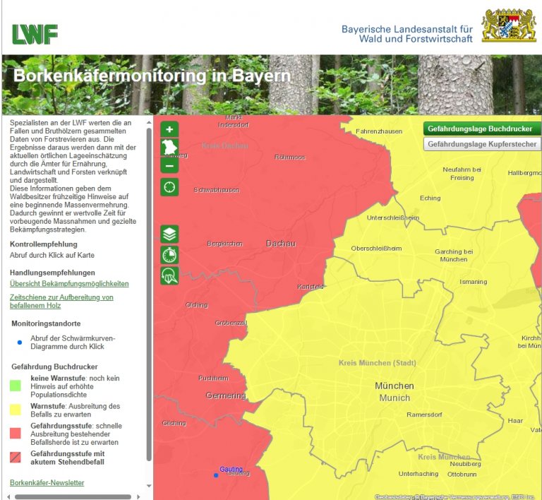 Befall durch Borkenkäfer in Oberschleißheim Befall durch Borkenkäfer in Oberschleißheim
