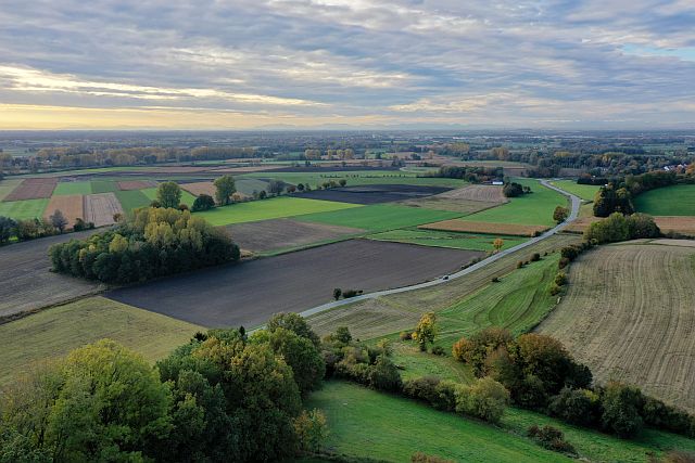 Die Moore und unser Moos – Klimakiller oder Klimaretter?